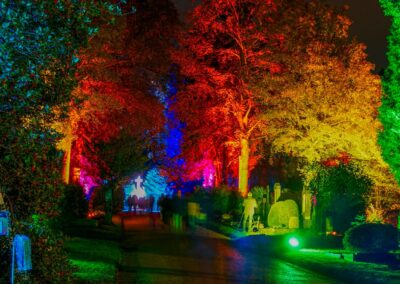 M4E Licht-Friedhof-Siegburg