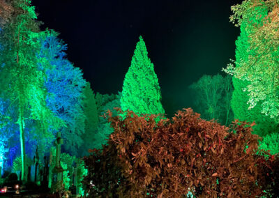 Bunte Beleuchtung in der Nacht des Friedhofs auf dem Siegburger Nordfriedhof am 31.10.2021 und 01.11.2021.